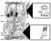 Abb. 1: Spermatogenese