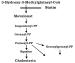 Abb. 1: Statine - Wirkmechanismus