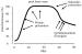 Abb. 2: Osteoporose - Prvention - Therapie