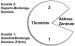 Abb. 1: Thrombin-Bindungs-Domnen