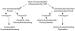 Abb. 2: Virusmyokarditis - Pathogenese