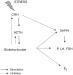 Abb. 2: Strehormon - CRH - ACTH
