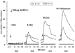 Abb. 3: GnRH-Test - Follikel