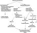 Abb. 1: PCO-Syndrom - Therapie