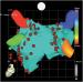 Abb. 5b: Elektroanatomisches Mapping