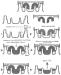 Abb. 2: Zech-Selector(R)