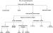 Fig. 3: Different ischaemic events