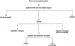 Fig. 4: Different ischaemic events
