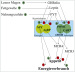 Aktuelles Bild - Abb. 1: Appetit - Energie