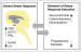 Abb. 2: Stress response