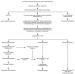 Abb. 1: Pulmonale Hypertonie - Diagnose