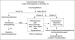 Abb. 2: PAH - Therapie