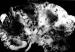Abb. 3: Emphysematse Pyelonephritis
