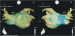 Abb. 3: CT-Bild - CartoMergeTM-Map