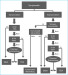 Abb. 1: Karotisstenose - Algorithmus