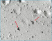 Abb. 2: Freeze fracture immunogold labelling