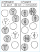 Abb. 2a-b: Heterogenie - Polygenie
