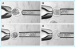 Aktuelles Bild - Abb. 8: Mouse donor embryo