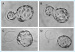 Abb. 9: Blastocysts - Mouse embryo