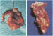Abb. 2: Zylinder