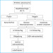 Abb. 1: Diagnoseschema einer NAFLD