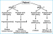 Abb. 2: BPH