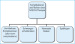 Abb. 1: IVP/ICSI-Therapie