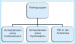 Aktuelles Bild - Abb. 3: IVF/ICSI-Therapie