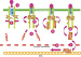 Abb. 2: Jak-STAT signal transducing pathway