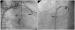 Abb. 3: Mapping