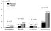 Abb. 3b: Therapieeskalation