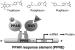 Abb. 1: Peroxisome Proliferator Activated Receptor Gamma