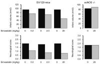 Abbildung 1: Simvastatin - Schlaganfall