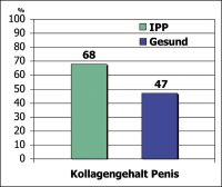 Abbildung 2: Kollagendeposition