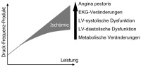 Abbildung 1: Ischmiekaskade