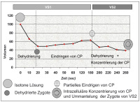 Abbildung 1b: Volumenschwankung