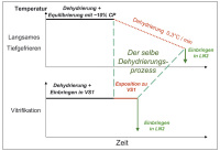 Abbildung 3: Tiefgefrieren  - Vitrifikation