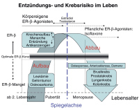 Abbildung 6: Alter - Organe