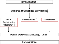 Abbildung 1: Herzinsuffizienz