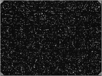 Figure 1: Micriarray experiments