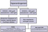 Abbildung 1: Hyperandrogenism