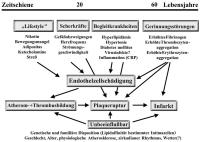 Abbildung 1: Atherosklerose - Pathophysiologie