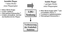 Abbildung 3: Plaque - LDL-Cholesterin