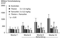 Abbildung 3: Tibolon -Tamoxifen - DMBA-Modell