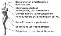 Abbildung 1: Tibolon - Wirkungsprofil