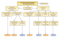 Abbildung 1: Paraneoplstische neurologische Syndrome