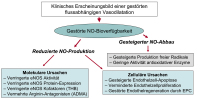 Abbildung 2: Endotheliale Dysfunktion