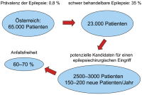 Abbildung 1: Epilepsie