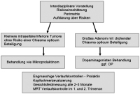 Abbildung 4: Makroprolaktinom
