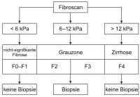 Abbildung 1: Fibroscan